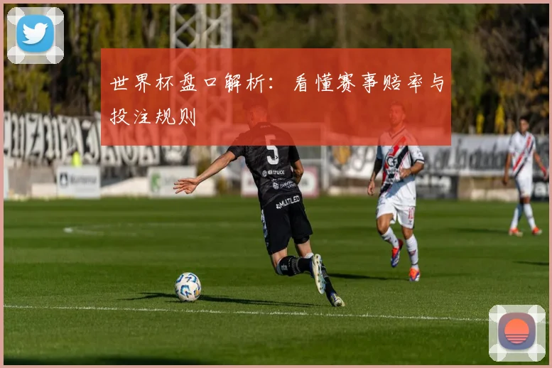 世界杯盘口解析：看懂赛事赔率与投注规则